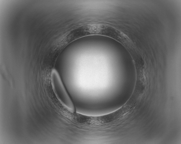 X0000060260697200510281206