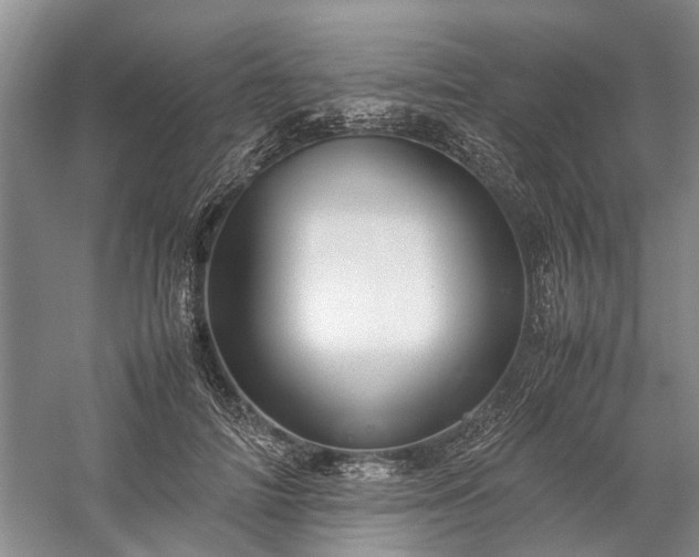 X0000060260698200510281206