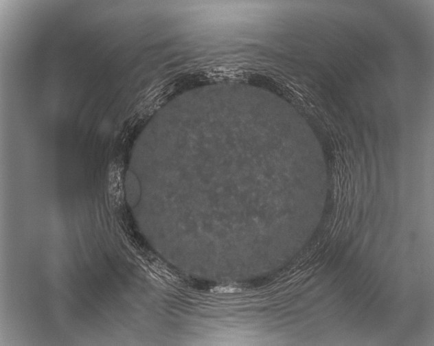 X0000060260699200510281206