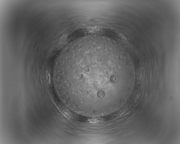 X0000060260703200510281206