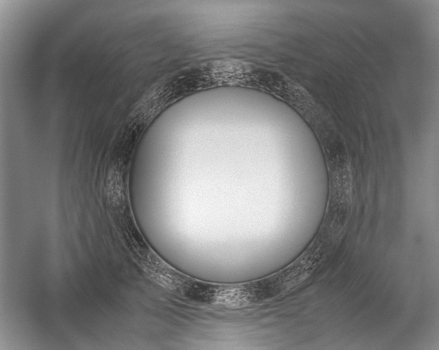 X0000060260705200510281206