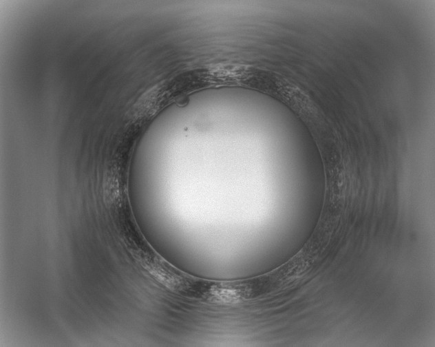 X0000060260706200510281206