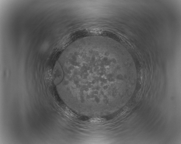 X0000060260707200510281205