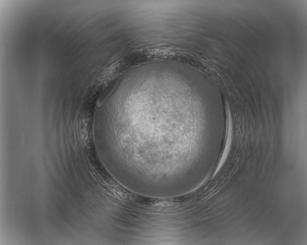 X0000060260708200510281205