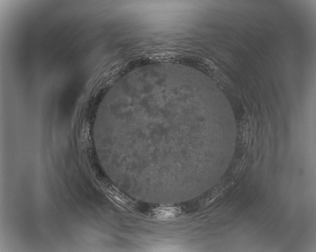 X0000060260711200510281205