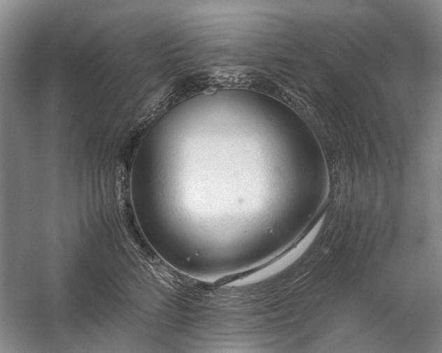 X0000060260712200510281205