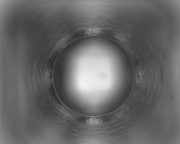 X0000060260714200510281205