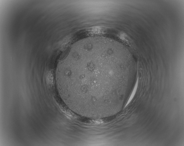 X0000060260715200510281205