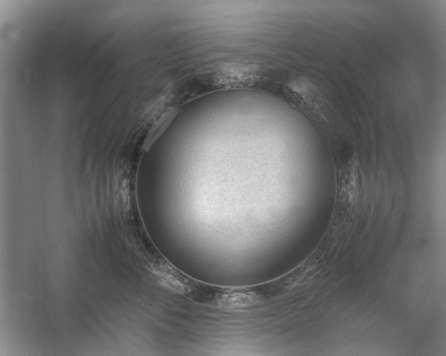 X0000060260716200510281205