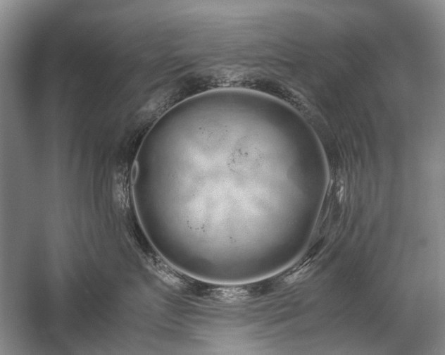 X0000060260719200510281205