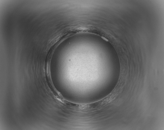 X0000060260720200510281205