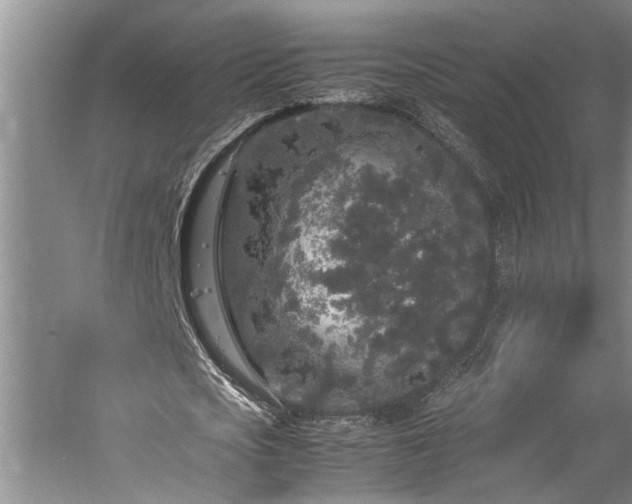 X0000060260721200510281204