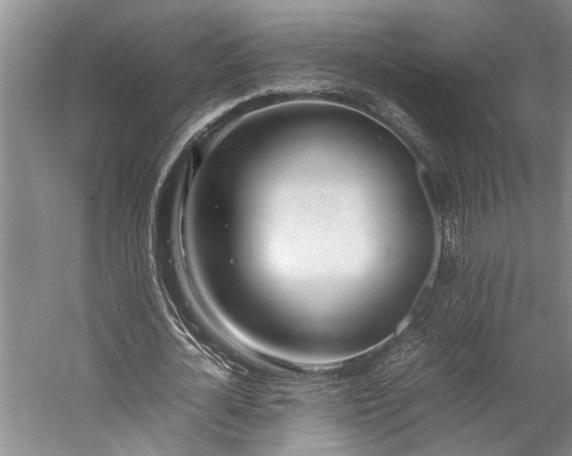 X0000060260724200510281204