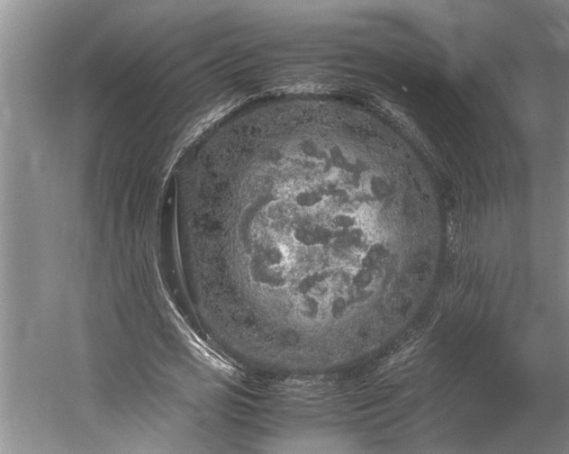 X0000060260725200510281205