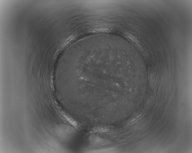 X0000060260729200510281205