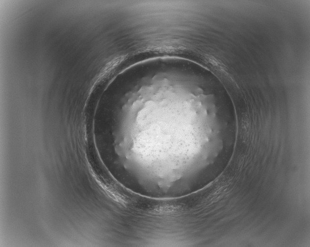 X0000060260734200510281205