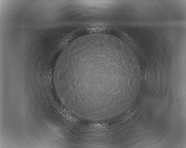 X0000060260737200510281205