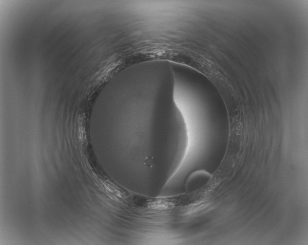 X0000060260754200510281205