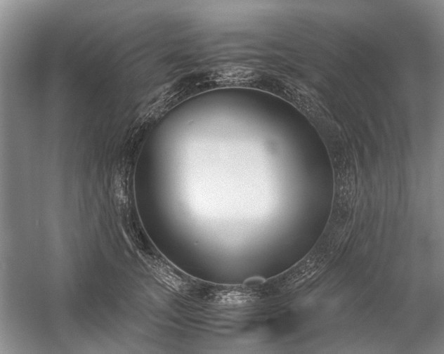 X0000060260755200510281205