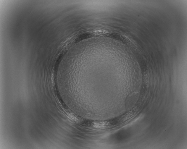 X0000060260757200510281205