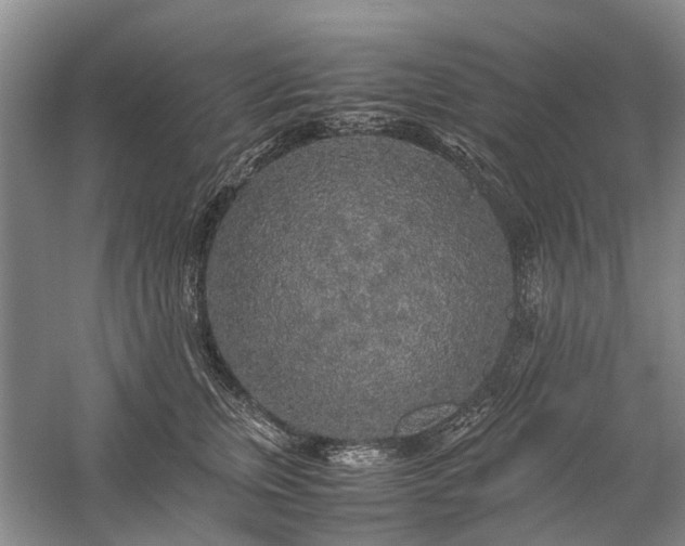 X0000060260759200510281205