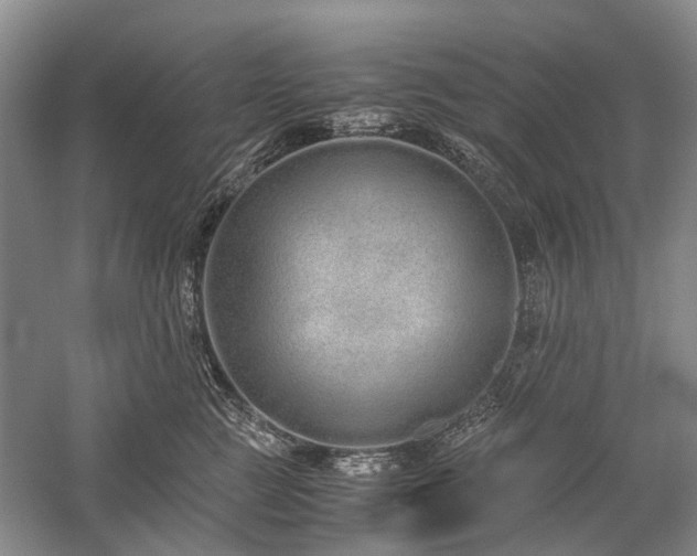 X0000060260761200510281205