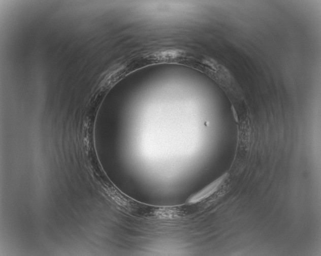 X0000060260762200510281205