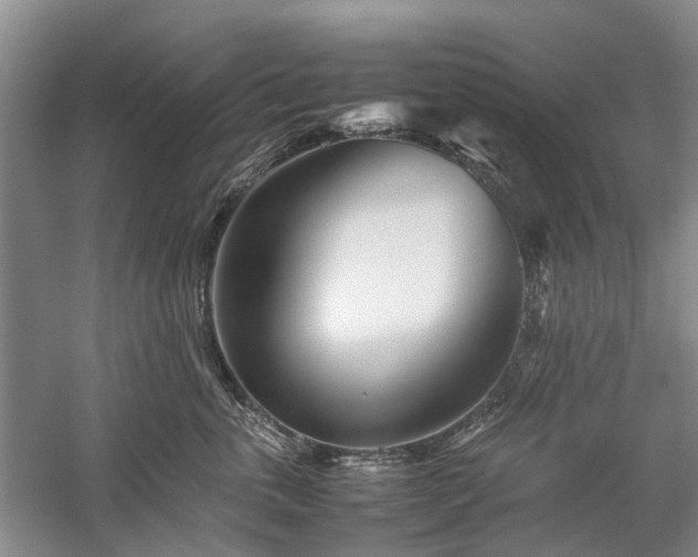 X0000060260763200510281205