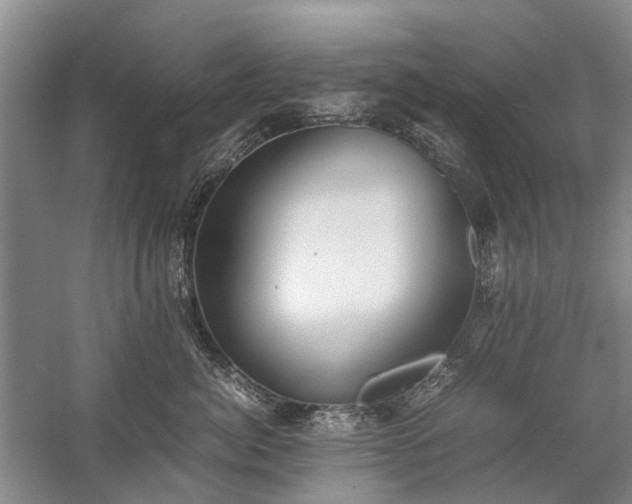 X0000060260764200510281205