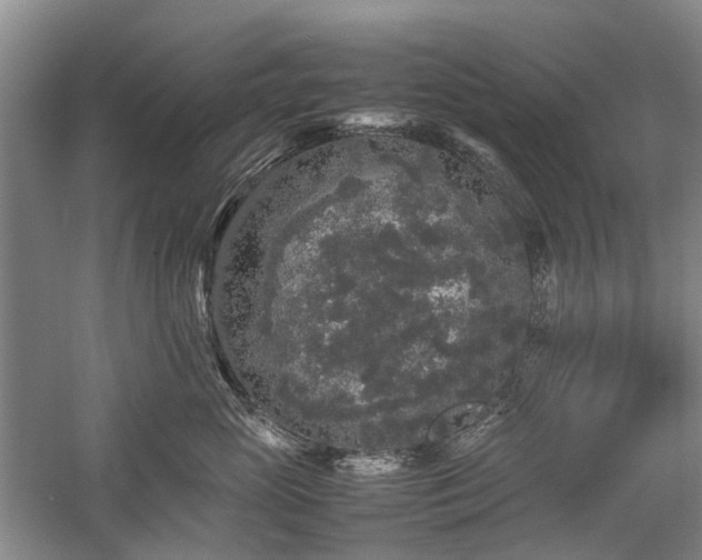 X0000060260765200510281205