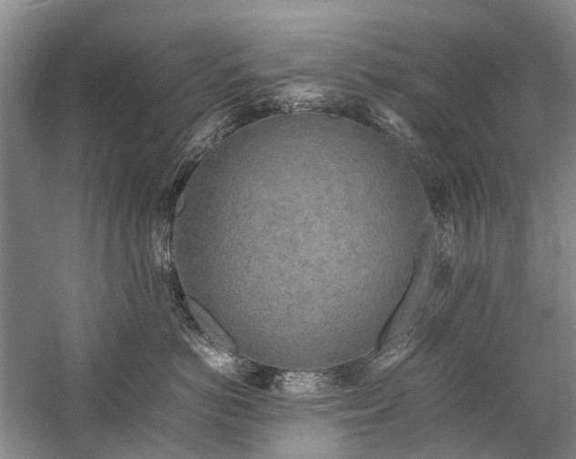 X0000060260766200510281205