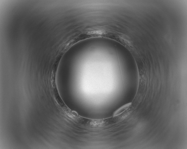 X0000060260767200510281205