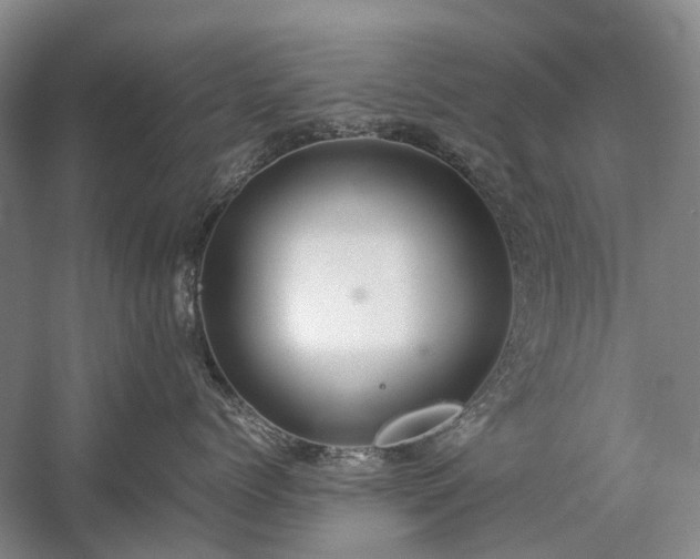 X0000060260768200510281205