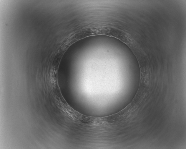 X0000060260770200510281204