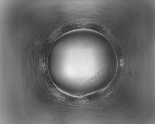 X0000060260771200510281204