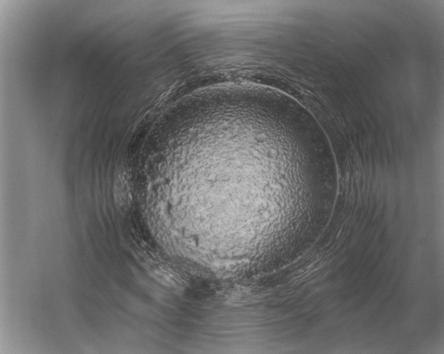 X0000060260772200510281204