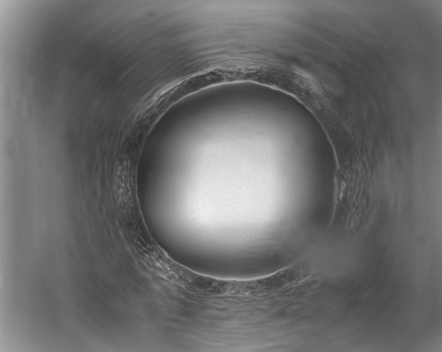 X0000060260773200510281204