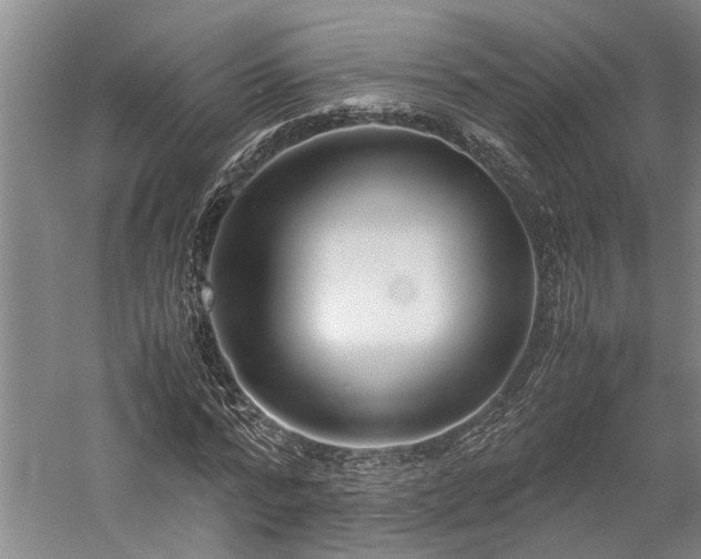 X0000060260776200510281204