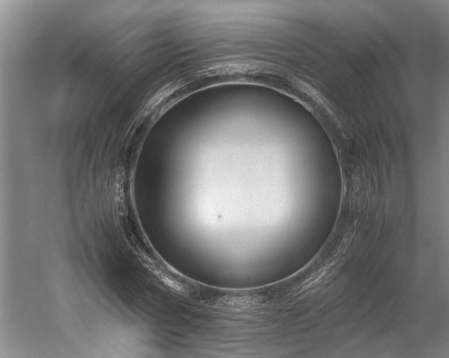 X0000060260778200510281204