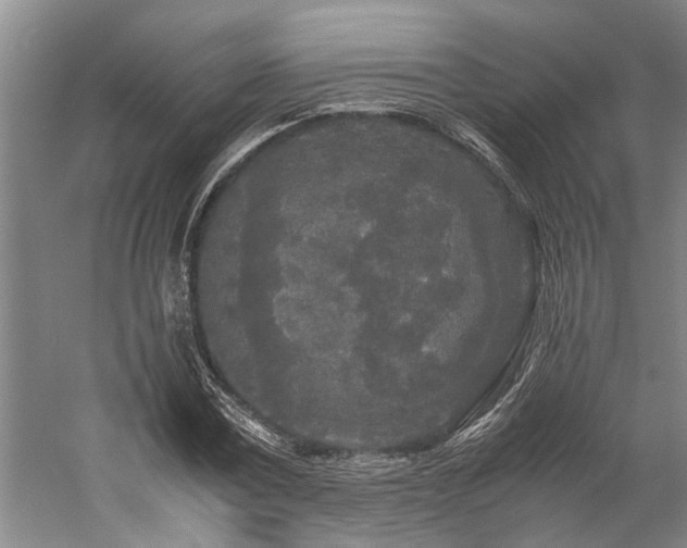 X0000060260779200510281204