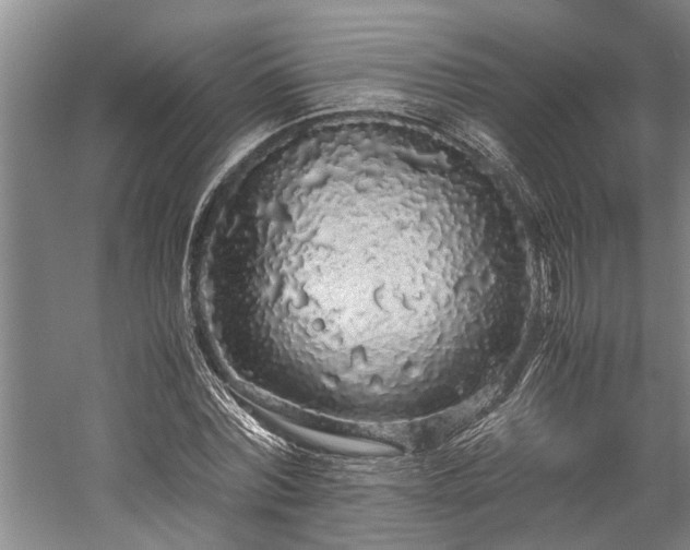 X0000060260780200510281204