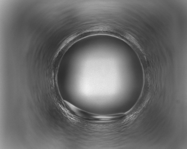 X0000060260781200510281204