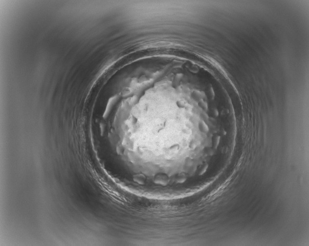 X0000060260783200510281204