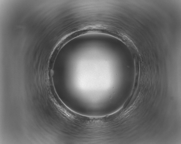 X0000060260784200510281204