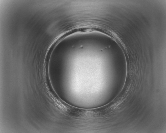 X0000060260787200510281204