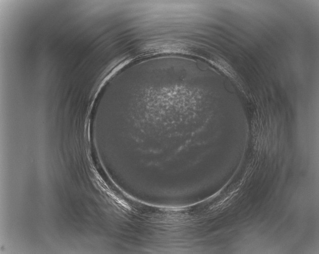 X0000060260790200510281204