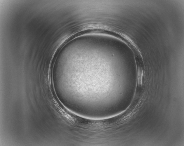 X0000060260791200510281204