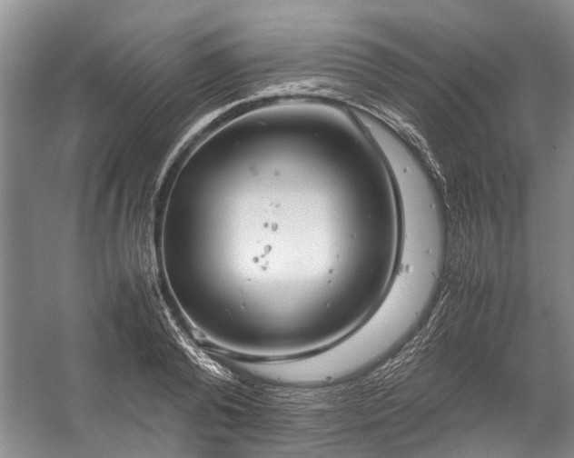 X0000060260792200510281204