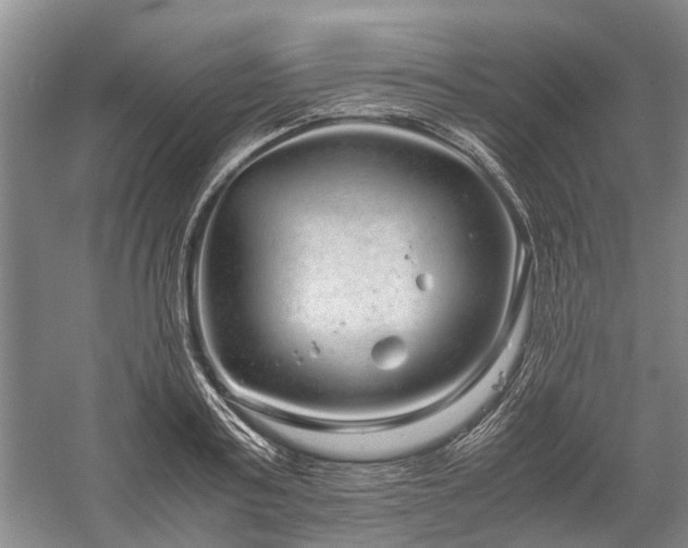 X0000060260795200510281204