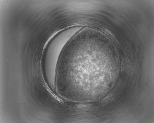 X0000060260796200510281204